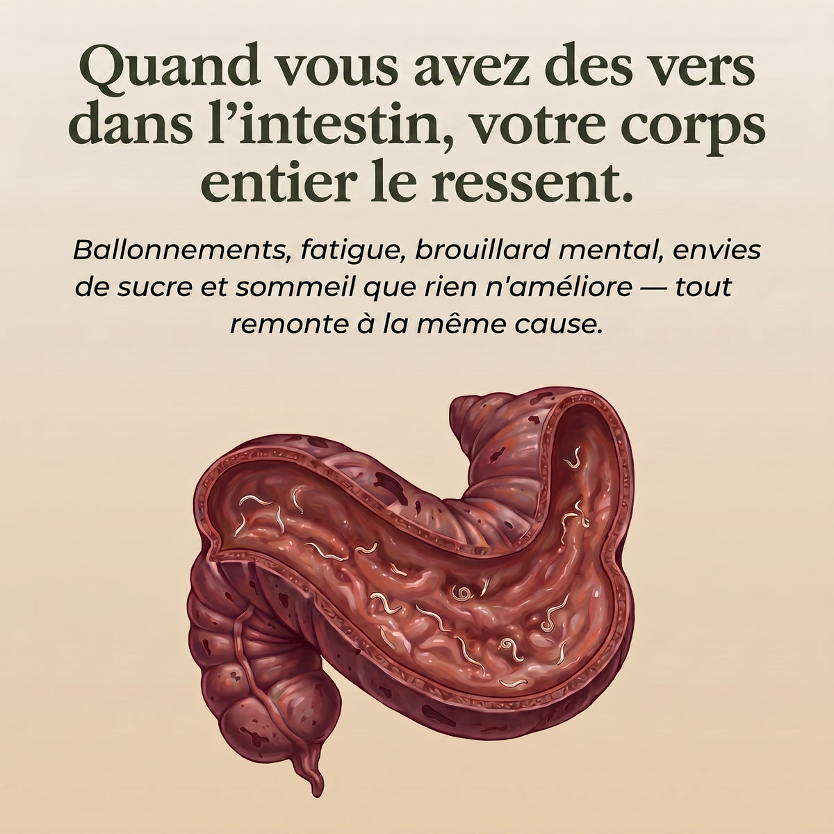 Quand vous avez des vers, votre corps le ressent