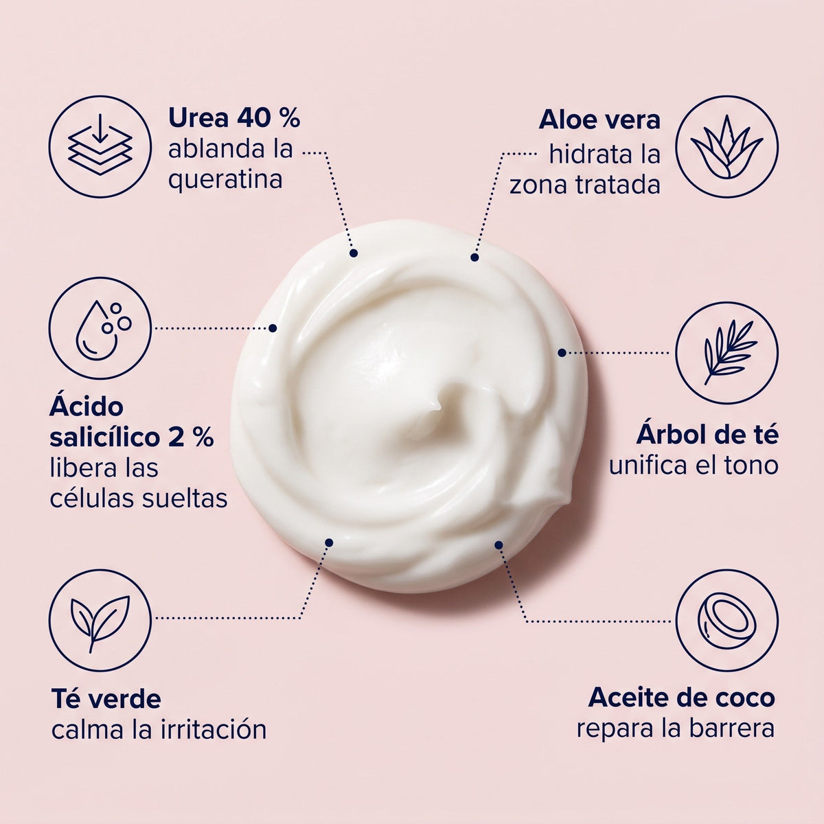 Textura de la crema y sus seis activos