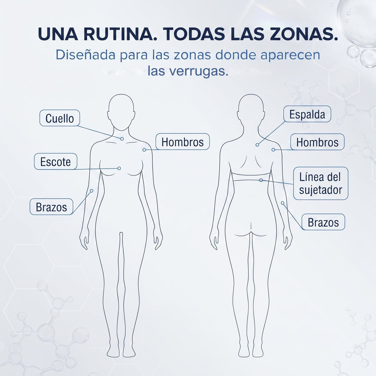 Una rutina, todas las zonas