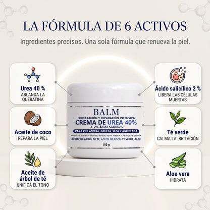 La fórmula de 6 activos