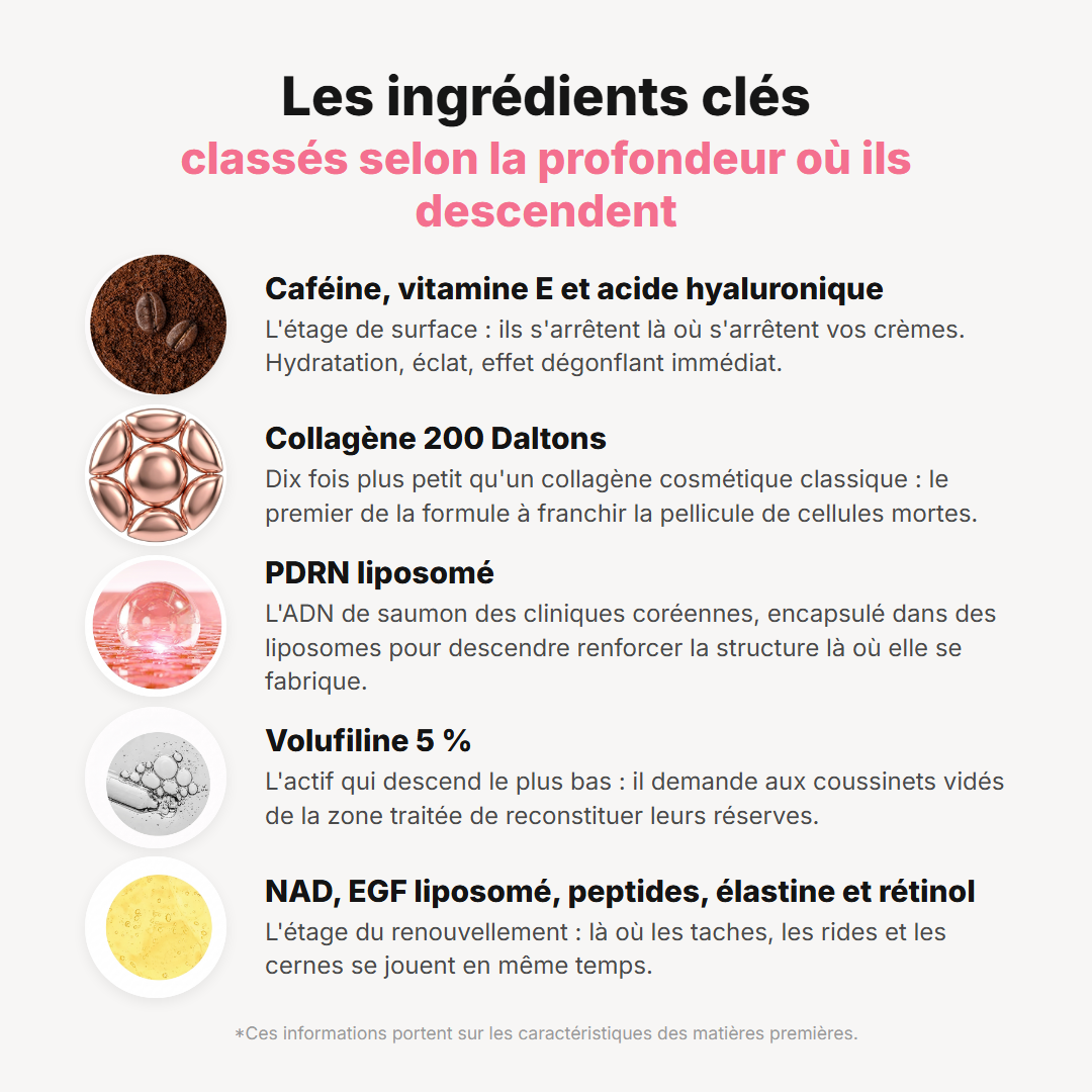 Los ingredientes clave clasificados por profundidad