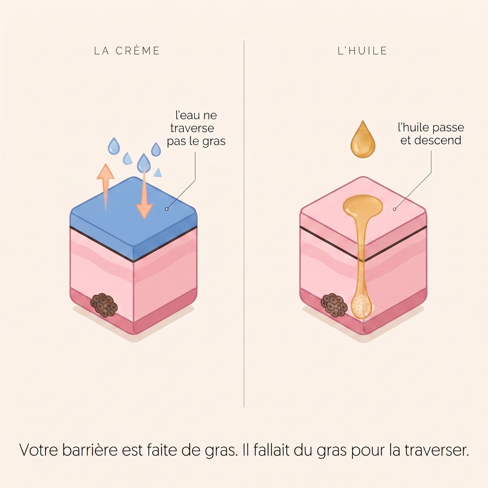 SCHEMA DE PENETRATION